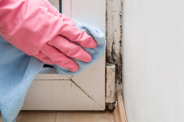 Best Mold Cleaning Services  in Franklin, OH